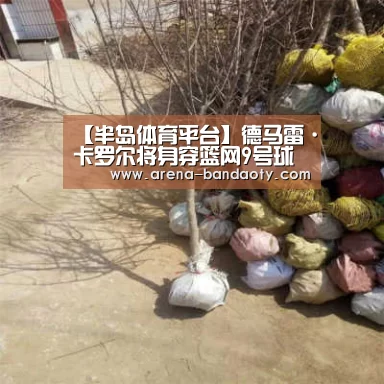 【半岛体育平台】德马雷·卡罗尔将身穿篮网9号球衣(图2) 半岛体育平台