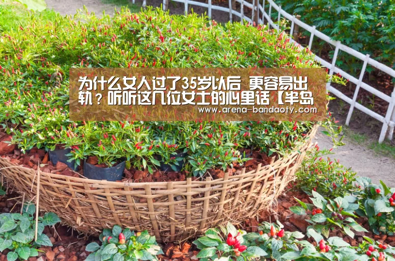 半岛体育