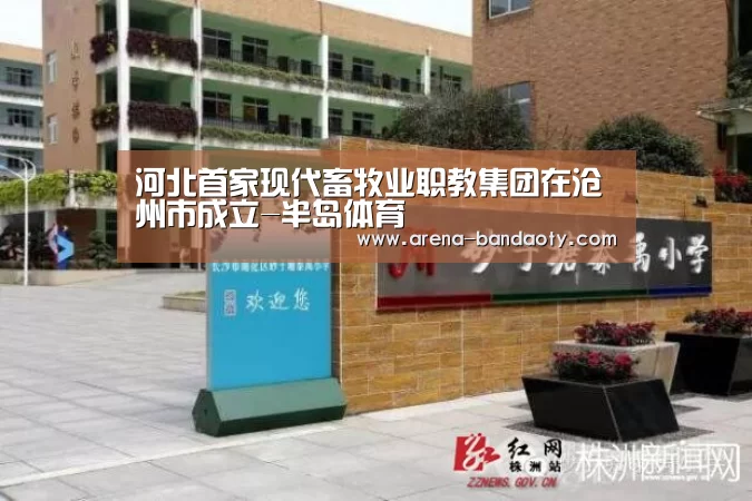 半岛体育平台
