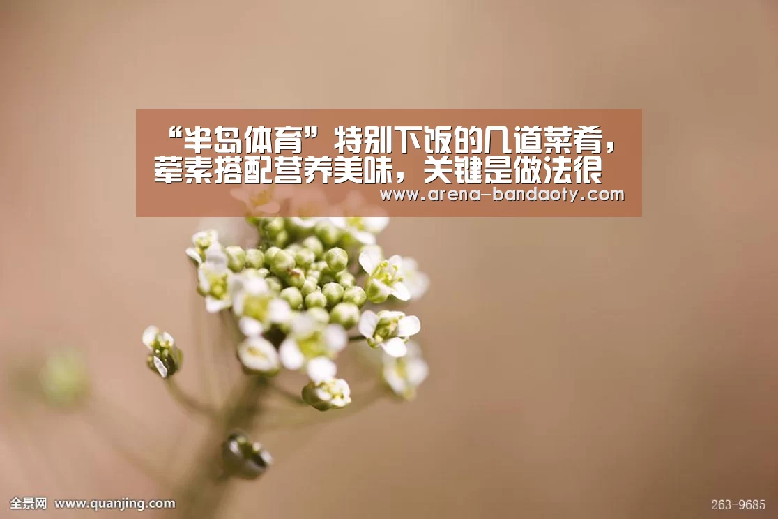 半岛体育平台